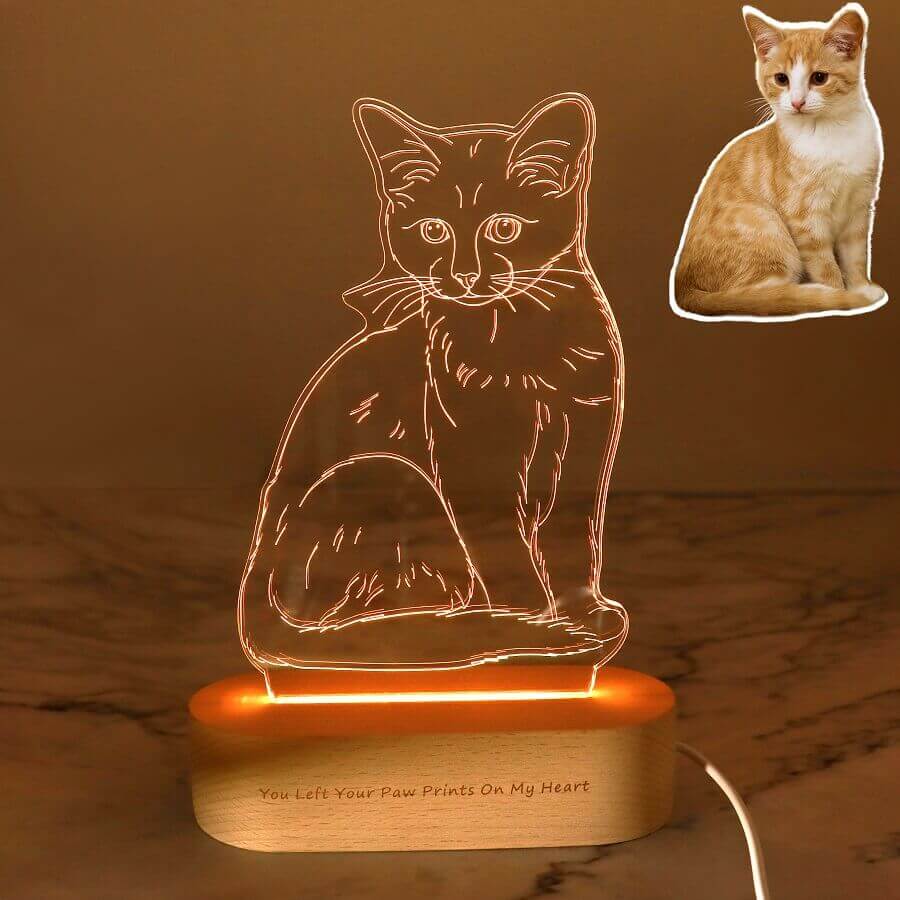 TURN YOUR PHOTOS INTO 3D LED ILLUSION LAMP