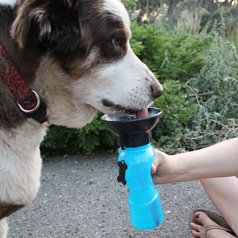 Portable Pet Auto Mug