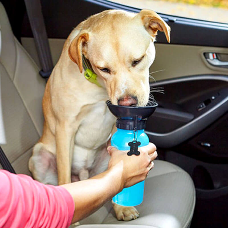 Portable Pet Auto Mug