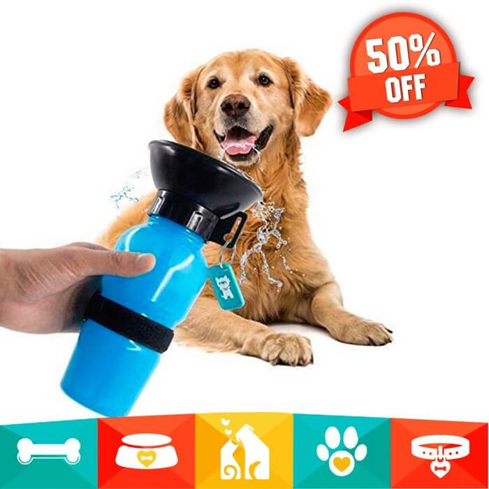 Portable Pet Auto Mug